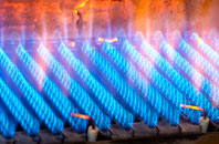 Beaumaris gas fired boilers